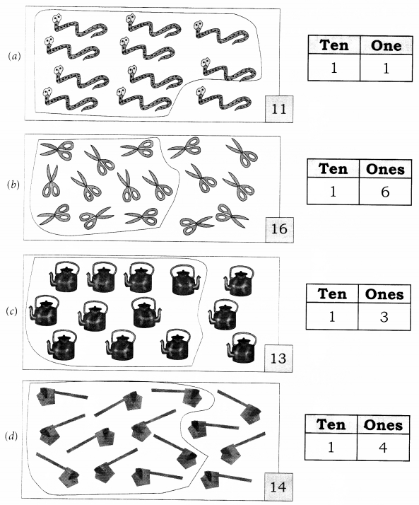 NCERT Solutions for Class 1 Maths Chapter 5 Numbers from Ten to Twenty Page 65 Q3