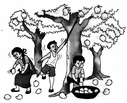 NCERT Solutions for Class 1 Maths Chapter 5 Numbers from Ten to Twenty Page 84 Q1