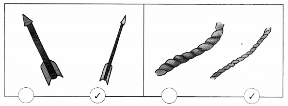 NCERT Solutions for Class 1 Maths Chapter 7 Measurement 15