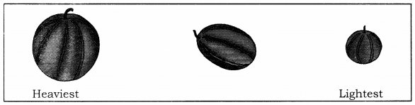 NCERT Solutions for Class 1 Maths Chapter 7 Measurement Page 100 Q1