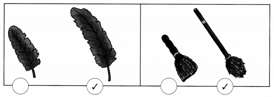 NCERT Solutions for Class 1 Maths Chapter 7 Measurement Page 93 Q1.1