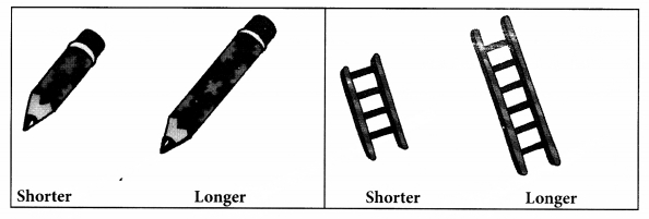 NCERT-Solutions-for-Class-1-Maths-Chapter-7-Measurement-Page-93-Q1