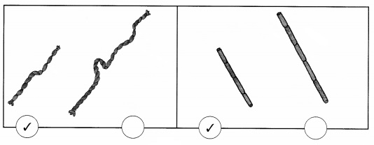 NCERT Solutions for Class 1 Maths Chapter 7 Measurement Page 93 Q2