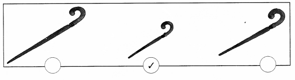NCERT Solutions for Class 1 Maths Chapter 7 Measurement Page 94 Q2
