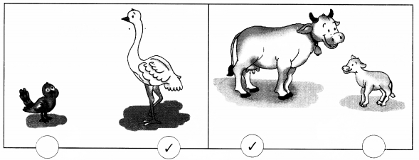 NCERT Solutions for Class 1 Maths Chapter 7 Measurement Page 95 Q1.1