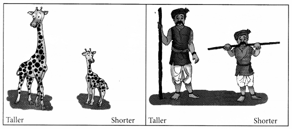 NCERT Solutions for Class 1 Maths Chapter 7 Measurement Page 95 Q1