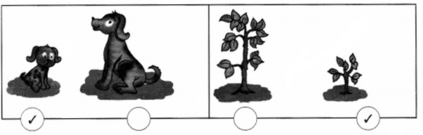 NCERT Solutions for Class 1 Maths Chapter 7 Measurement Page 95 Q2