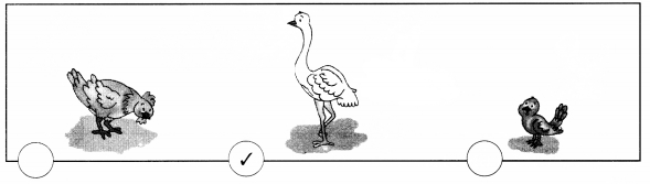 NCERT Solutions for Class 1 Maths Chapter 7 Measurement Page 96 Q1.1