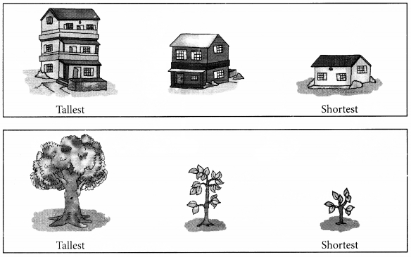 NCERT Solutions for Class 1 Maths Chapter 7 Measurement Page 96 Q1