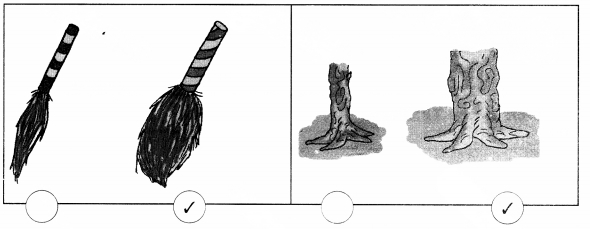 NCERT Solutions for Class 1 Maths Chapter 7 Measurement Page 97 Q1.1
