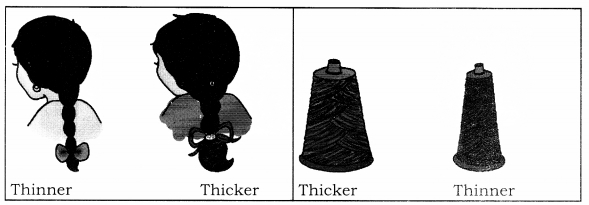 NCERT Solutions for Class 1 Maths Chapter 7 Measurement Page 97 Q1