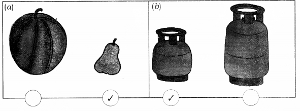 NCERT Solutions for Class 1 Maths Chapter 7 Measurement Page 99 Q1.1