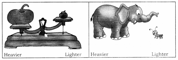 NCERT Solutions for Class 1 Maths Chapter 7 Measurement Page 99 Q1
