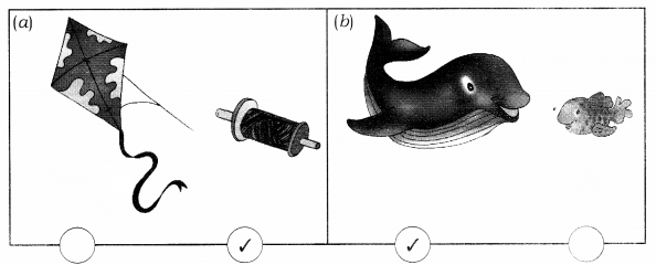 NCERT Solutions for Class 1 Maths Chapter 7 Measurement Page 99 Q2
