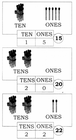 NCERT Solutions for Class 1 Maths Chapter 8 Numbers from Twenty-One to Fifty Page 104 Q1