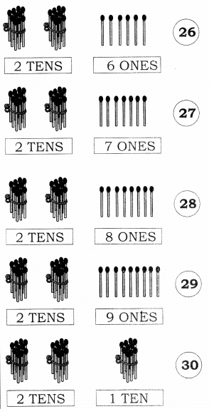 NCERT Solutions for Class 1 Maths Chapter 8 Numbers from Twenty-One to Fifty Page 106 Q2