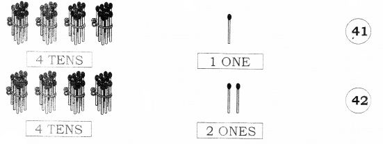NCERT Solutions for Class 1 Maths Chapter 8 Numbers from Twenty-One to Fifty Page 107 Q3
