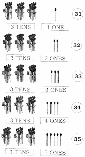 NCERT Solutions for Class 1 Maths Chapter 8 Numbers from Twenty-one to Fifty 10
