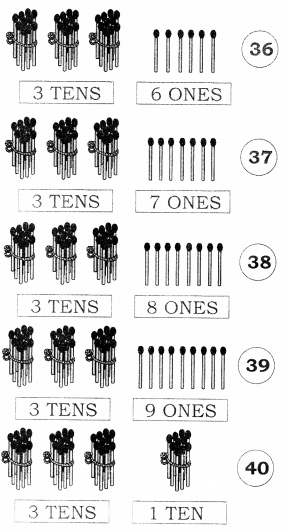 NCERT Solutions for Class 1 Maths Chapter 8 Numbers from Twenty-one to Fifty 11