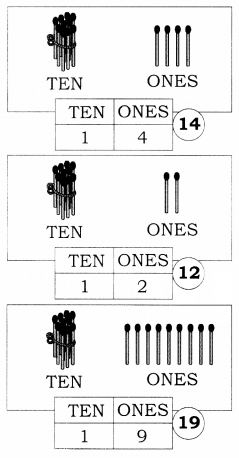 NCERT Solutions for Class 1 Maths Chapter 8 Numbers from Twenty-one to Fifty 2