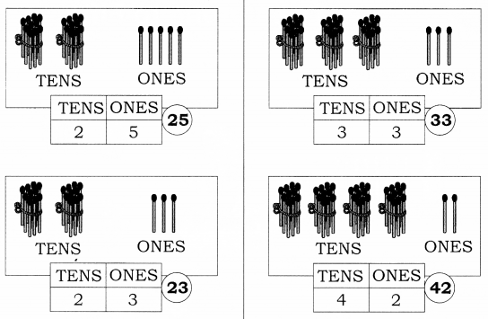 NCERT Solutions for Class 1 Maths Chapter 8 Numbers from Twenty-one to Fifty 4