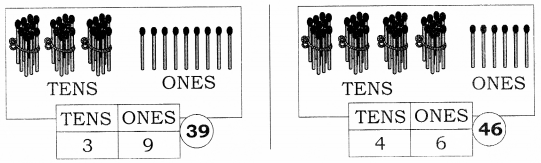 NCERT Solutions for Class 1 Maths Chapter 8 Numbers from Twenty-one to Fifty 6