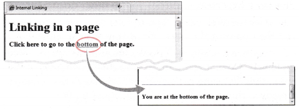 NCERT Solutions for Class 10 Foundation of Information Technology - Inserting Images and Links in HTML 3