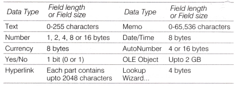 NCERT Solutions for Class 10 Foundation of Information Technology - Microsoft Access 4