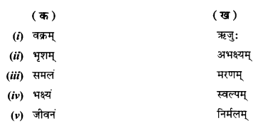 NCERT Solutions for Class 10 Sanskrit Shemushi Chapter 1 शुचिपर्यावरणम् 5