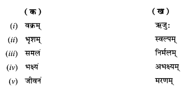 NCERT Solutions for Class 10 Sanskrit Shemushi Chapter 1 शुचिपर्यावरणम् 6