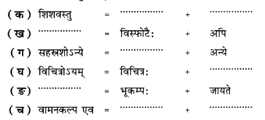 NCERT Solutions for Class 10 Sanskrit Shemushi Chapter 10 भूकंपविभीषिका 2