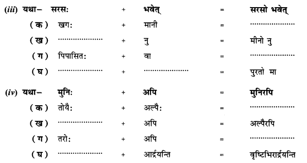 NCERT Solutions for Class 10 Sanskrit Shemushi Chapter 12 अनयोक्त्यः 2