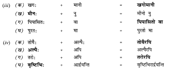NCERT Solutions for Class 10 Sanskrit Shemushi Chapter 12 अनयोक्त्यः 4