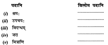 NCERT Solutions for Class 10 Sanskrit Shemushi Chapter 3 व्यायामः सर्वदा पथ्यः 4