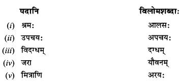 NCERT Solutions for Class 10 Sanskrit Shemushi Chapter 3 व्यायामः सर्वदा पथ्यः 5