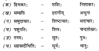 NCERT Solutions for Class 10 Sanskrit Shemushi Chapter 4 शिशुलालनम् 5