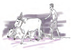 NCERT Solutions for Class 10 Sanskrit Shemushi Chapter 5 जननी तुल्यवत्सला 1