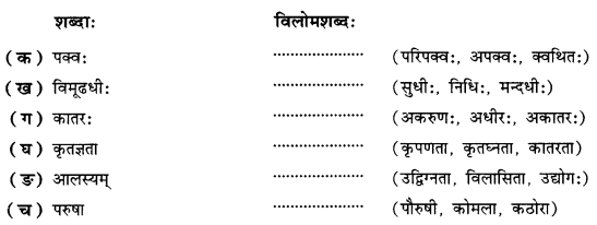 NCERT-Solutions-for-Class-10-Sanskrit-Shemushi-Chapter-9-सूक्तयः-1