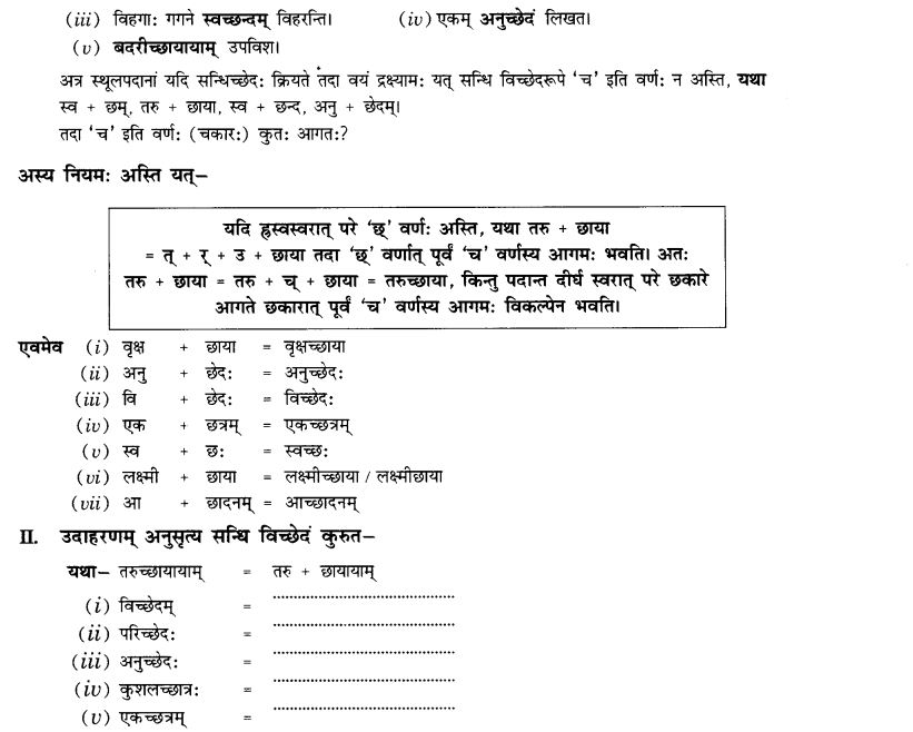 NCERT Solutions for Class 10th Sanskrit Chapter 1 सन्धि 17
