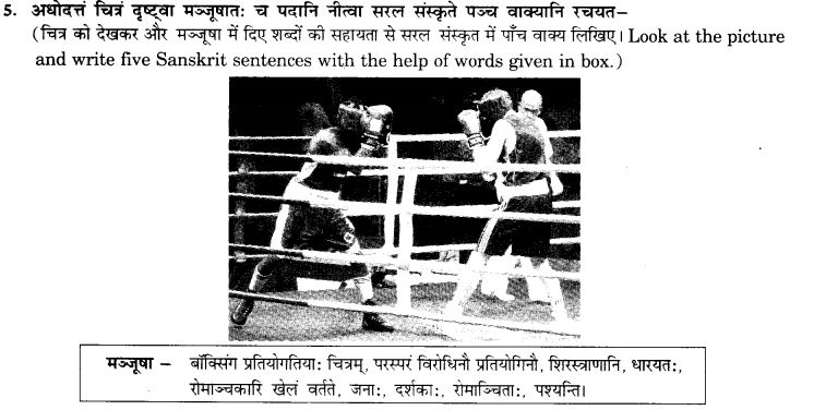 NCERT Solutions for Class 10th Sanskrit Chapter 3 Chitraadharitam Varnanam 24