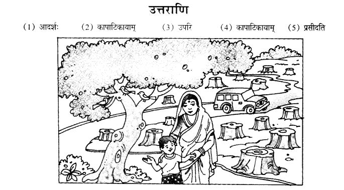 NCERT Solutions for Class 10th Sanskrit Chapter 3 Chitraadharitam Varnanam 3