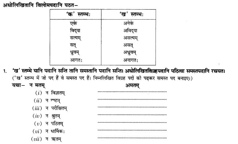 NCERT Solutions for Class 10th Sanskrit Chapter 3 Samasah 14