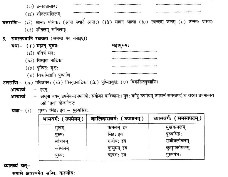 NCERT Solutions for Class 10th Sanskrit Chapter 3 Samasah 20