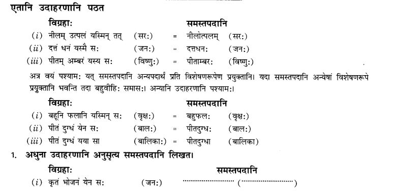 NCERT Solutions for Class 10th Sanskrit Chapter 3 Samasah 23