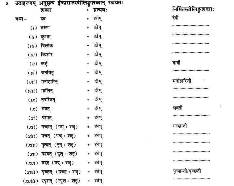 NCERT Solutions for Class 10th Sanskrit Chapter 4 Pratyayah 41