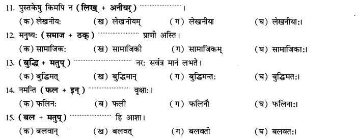 NCERT Solutions for Class 10th Sanskrit Chapter 4 Pratyayah 51