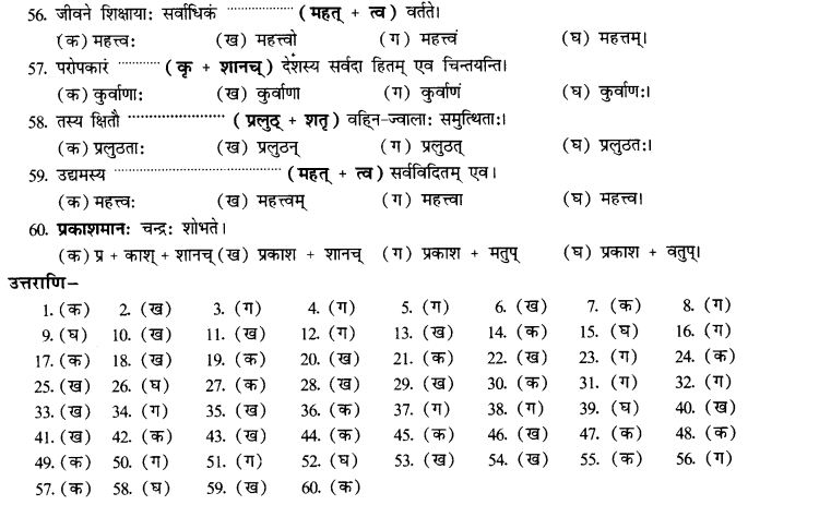 NCERT Solutions for Class 10th Sanskrit Chapter 4 Pratyayah 64