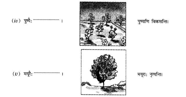 NCERT Solutions for Class 10th Sanskrit Chapter 5 वाच्यम् 11