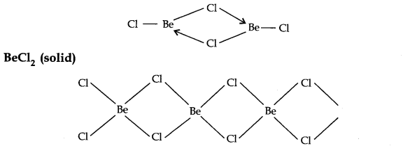 NCERT Solutions for Class 11 Chemistry Chapter 10 The s-Block Elements Q19