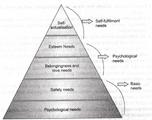 NCERT Solutions for Class 11 Entrepreneurship An Entrepreneur Q5